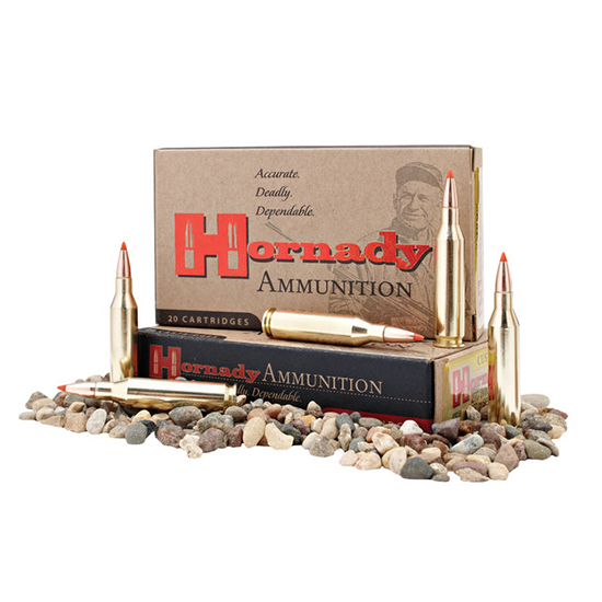 HORN CUSTOM 350LEG 165GR FTX 20/10 - Ammunition